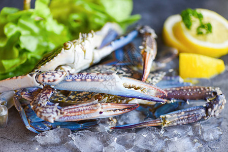 餐饮或海鲜市场烹饪食品新鲜螃蟹冰上生螃蟹图片