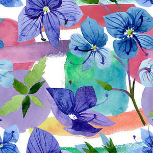 水彩蓝色维罗妮卡花卉植物花无缝背景图案织物壁纸打印纹理背景纹理包装图案框架或边框图片