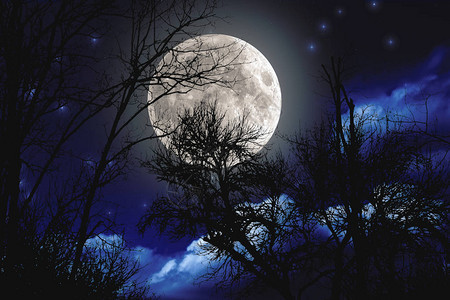 晚上或晚上从山上看月亮图片