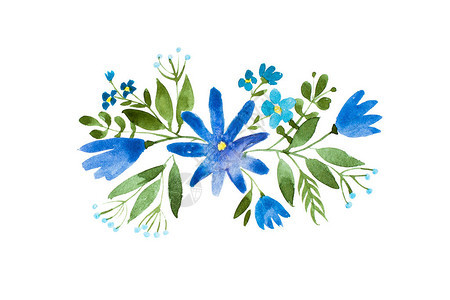 蓝色野花的一束小花朵背景图片