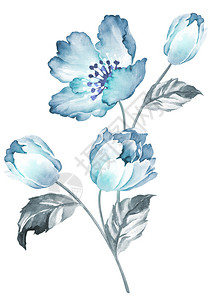 水彩画花图片 水彩画花素材 水彩画花高清图片 摄图网图片下载