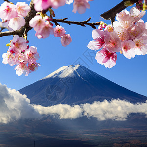 日本蓝天背景下的富士圣山供广告或图片