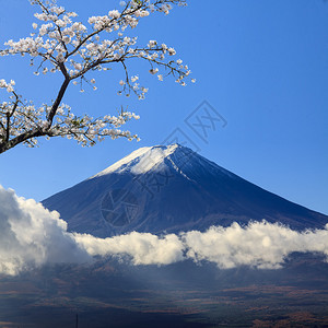 日本蓝天背景下的富士圣山供广告或图片