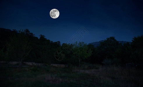 满月之夜穿过森林的山地路黑暗蓝天和月图片