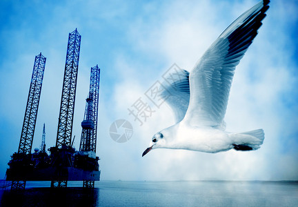 个人蓝图中的抽象蓝色石油钻井平台和飞翔的海鸥图片
