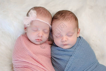 两个月大的异卵双胞胎兄弟姐妹婴儿裹着粉色和蓝色的包裹图片