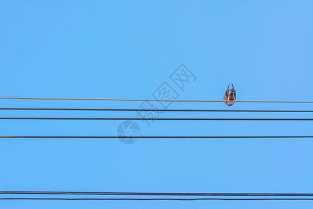 鸟坐在晴朗的天空上的电力线上图片