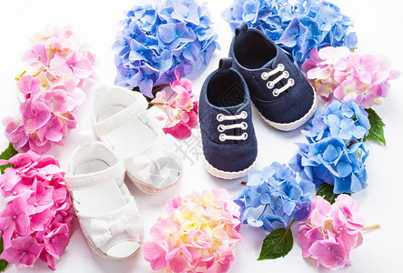 带有霍滕西亚鲜花装饰的可爱新生儿男婴和女婴鞋图片
