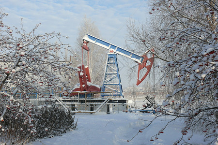 这里采油雪冬图片