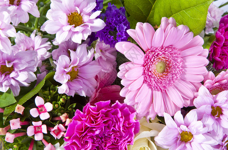 粉色白色和紫色的花束背景图片