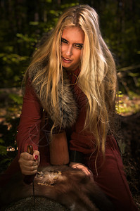斯堪的纳维亚人的巫婆皮龙森林背景图片
