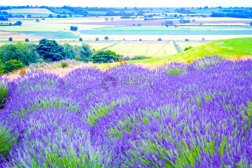 联合王国英高清图片下载正版图片503463377摄图网