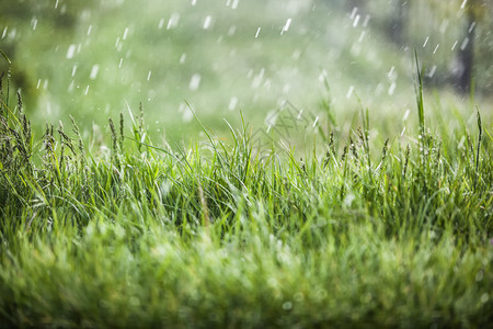 下雨天下雨图片