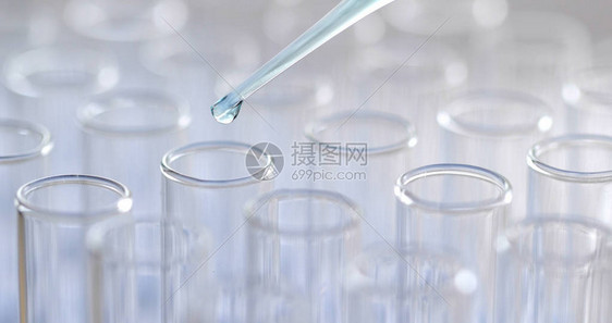 在实验室用试管做实验图片