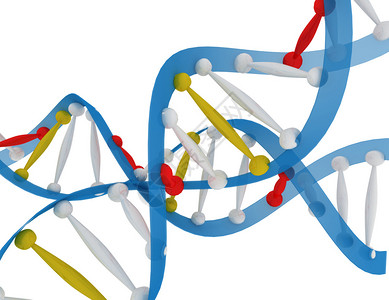 dna概念图片