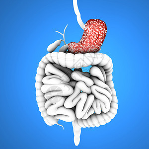 消化道胃和溃疡蓝色背景下的消化系统背景图片