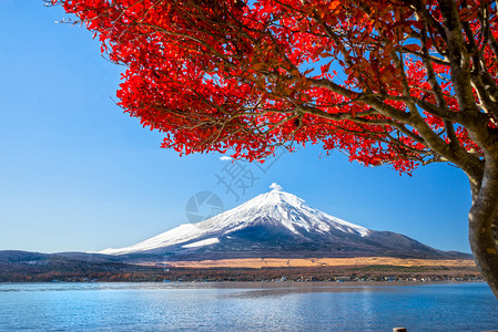 富士山在日本雅马纳卡图片