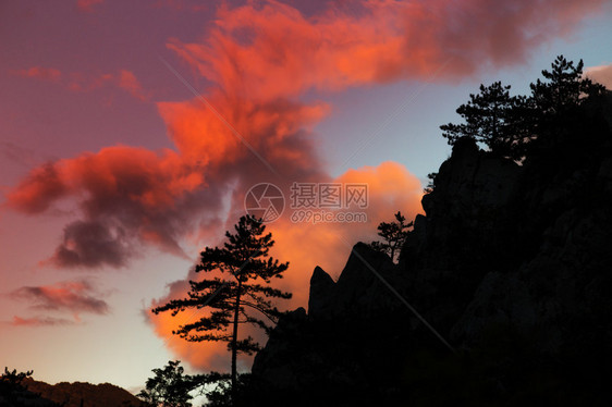 山上景色与黑色松树皮纳斯尼古拉硅影以惊人的日图片
