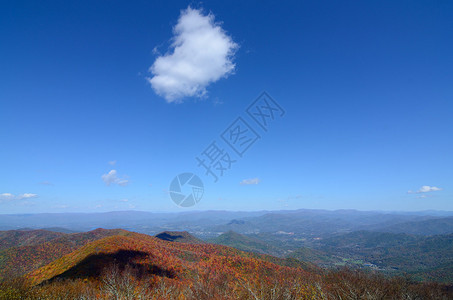 来自美国佐治亚州最高海拔的BrastownBald山图片