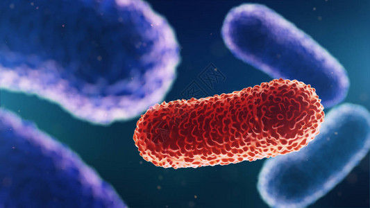 细菌的3d插图医学背景图片