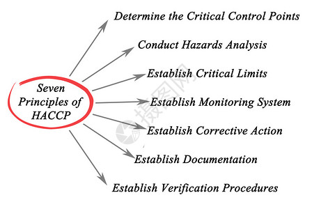 HACCP原理图背景图片
