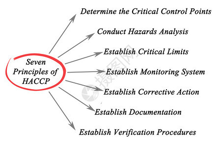 HACCP原理图背景图片