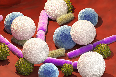 3d造成和细菌胞静图片