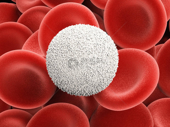 3d用红细胞渲染白细胞图片