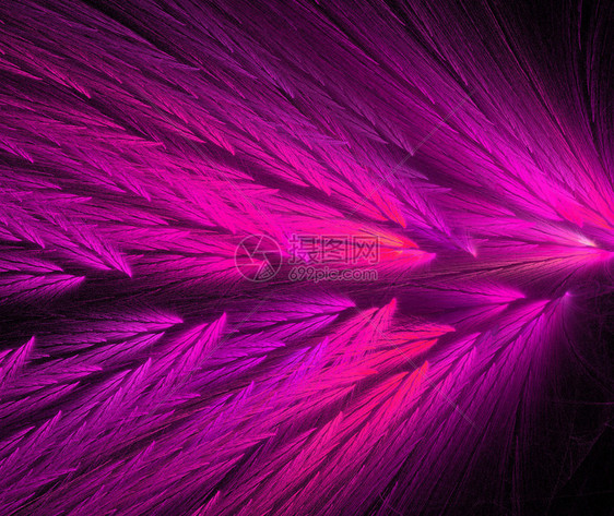 粉色和紫色热羽毛折形状与图片