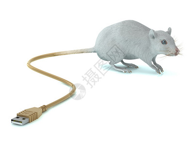 鼠标与USB尾巴图片