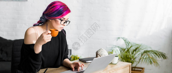 坐在桌边用笔记本电脑喝咖啡的多彩秀发美女被图片