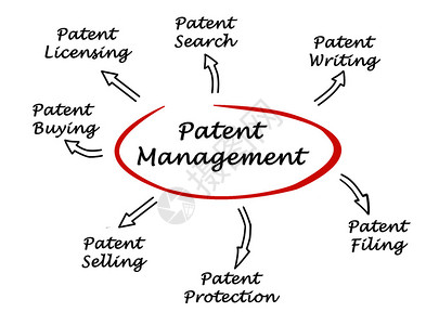专利管理图片