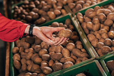 购物者在大卖场选择新鲜生土豆的部分看法图片