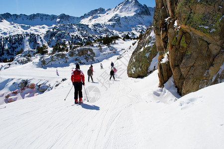 有几个人在阿尔卑斯山上滑雪图片