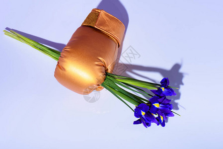 拳击手套中紫色鸢尾花的顶视图图片