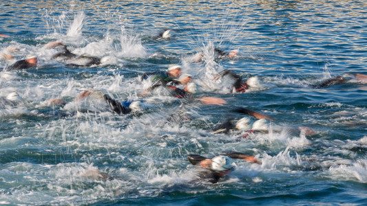 以Triathlon的速度游动图片