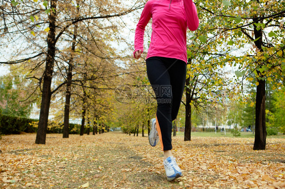 跑在秋天树之间的女孩图片
