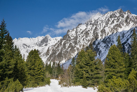 塔特拉山雪的壮丽景色图片