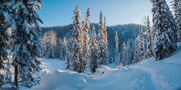 俯视着森林山谷的冬季山地景图片