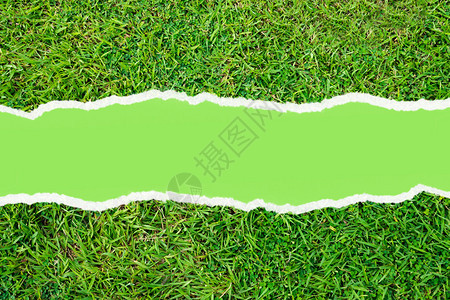 绿色人造草坪图案背景纹理图片