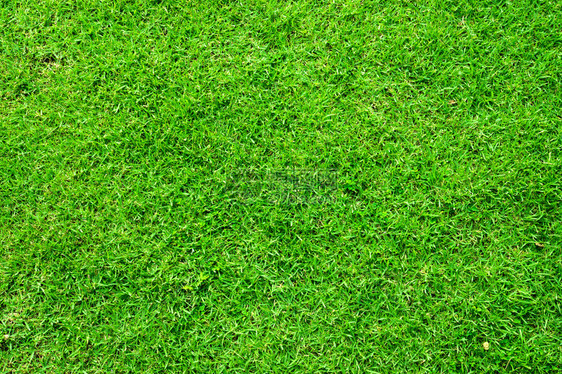 绿色人造草坪图案背景纹理图片