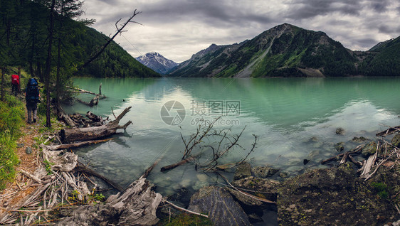 沿着阿尔泰山脉绿湖海岸旅行的一群远足者图片