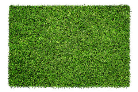 绿色草质贴近绿草纹理背景以白色背景与图片