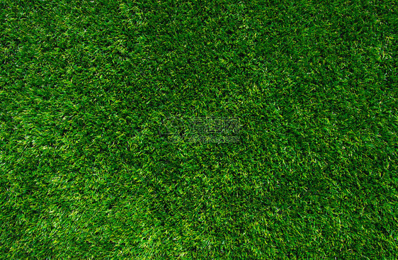 绿草的背景纹理绿色草坪图片
