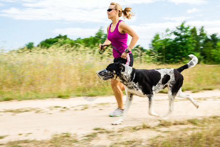 女跑者与狗一起在乡村公路上奔跑图片