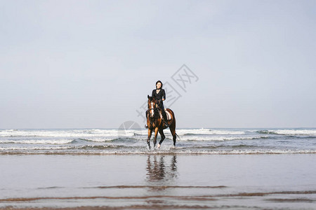远视的女人骑马在沙滩上骑马图片