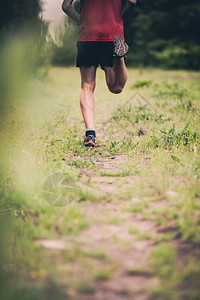 男子赛跑者越野跑在夏季森林的小径上动机和灵感运动概念年轻运动员男训练和户外自然锻炼在路上逃跑时图片