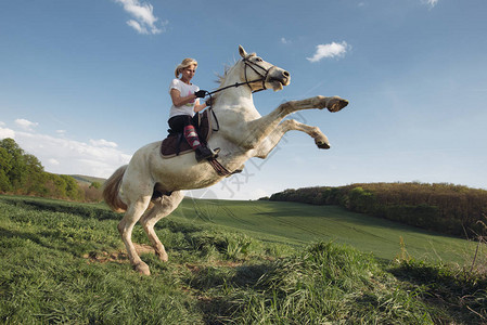 年轻女骑手与白马一起跳跃图片