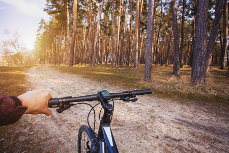 骑自行车的人在森林里骑自行车第一人称视角图片