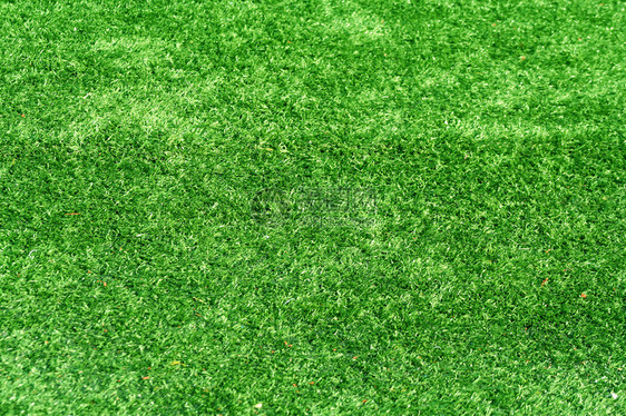 绿色的天文草皮背景图片